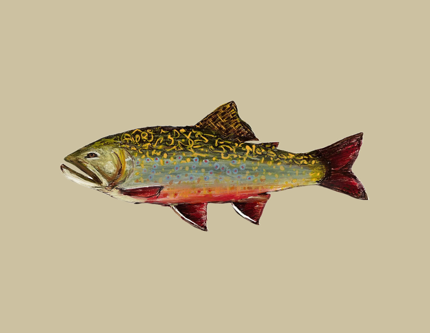 Brook Trout