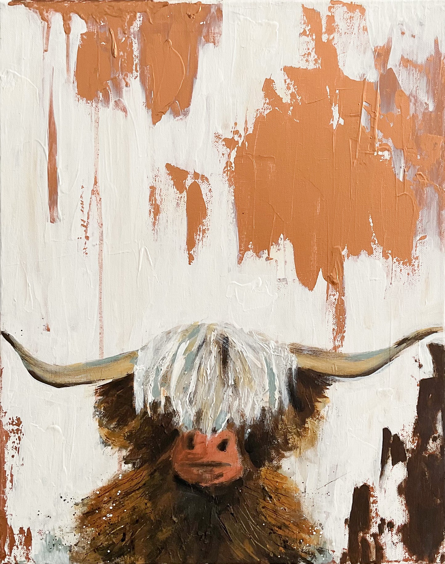 Highland Cow