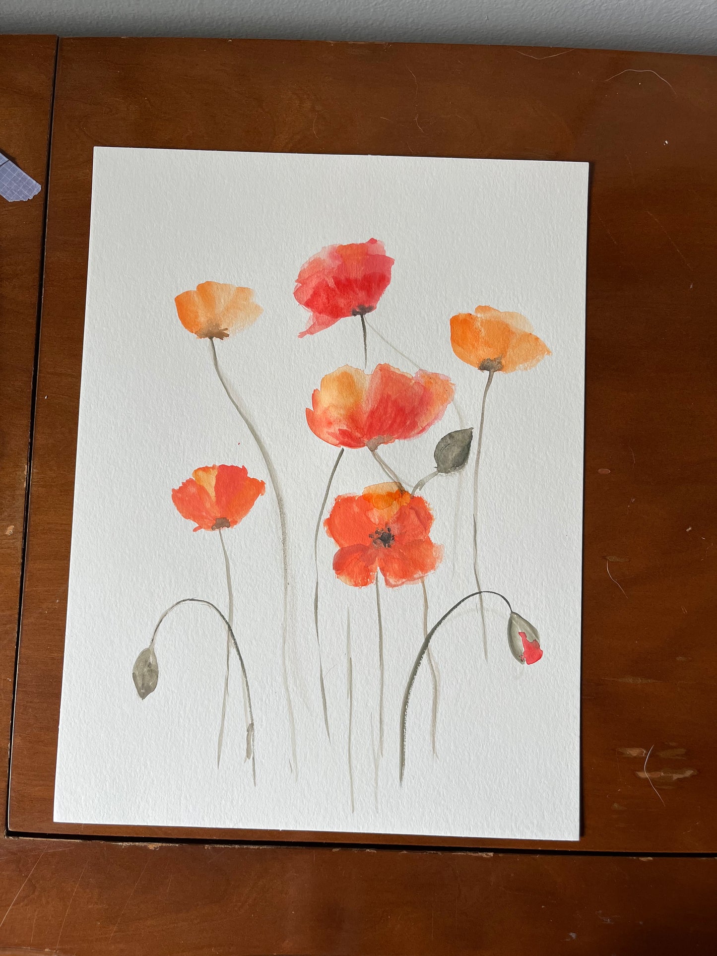 Poppies - Watercolor
