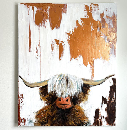 Highland Cow