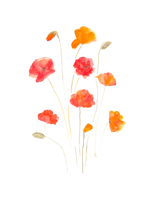 Poppies - ll